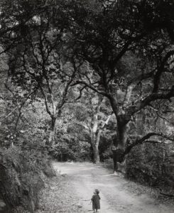 Wynn Bullock's 1958 photograph "Child on Forest Road" - an example of dark/low contrast black and white grading
